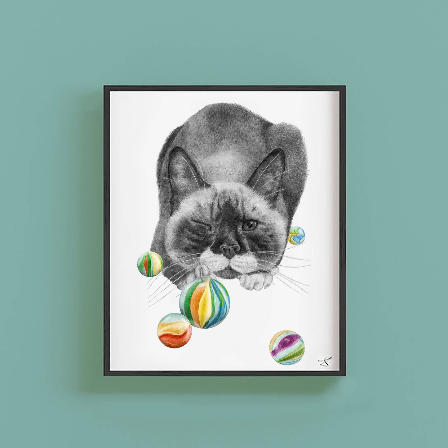 Brutus Bangor (Beefcake) Cat Portrait Study 8 x 10