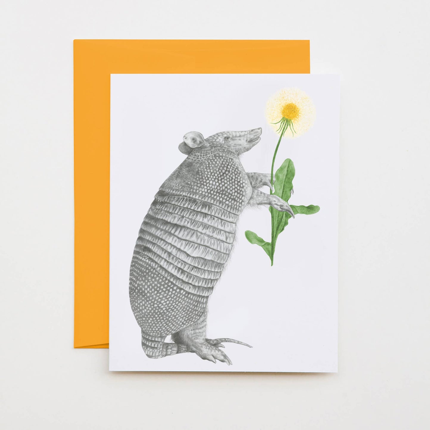 Tuck Sawgrass Nine Band Armadillo Note Card