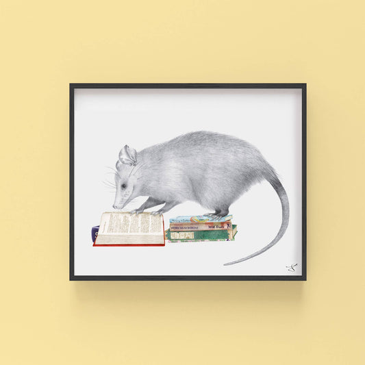 Henry Gossamer Opossum Portrait Study 8 x 10 Framed with Black Metal Frame